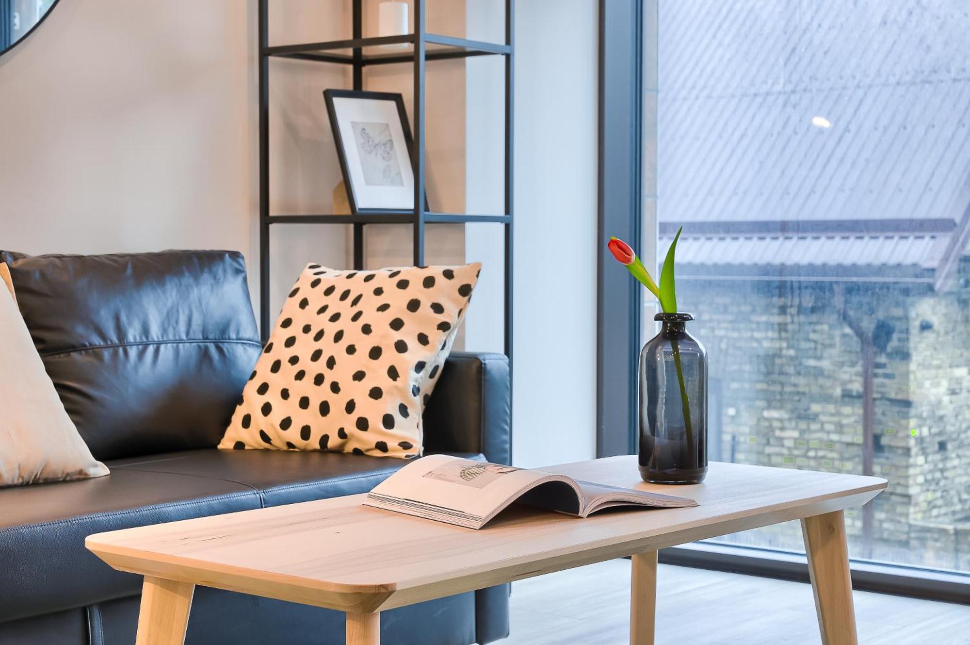Business-Class Apartments 2 X Free Parking X Self Check In 24X7 VNO Buitenkant foto